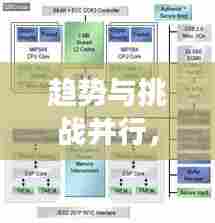 趋势与挑战并行，未来发展方向探索