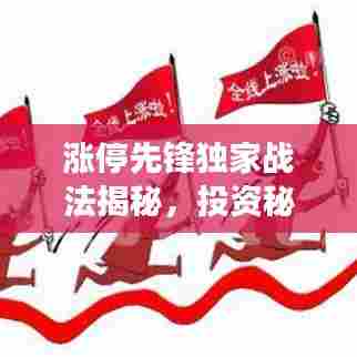 涨停先锋独家战法揭秘，投资秘籍助你成功操盘！