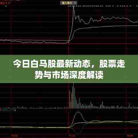 今日白马股最新动态，股票走势与市场深度解读