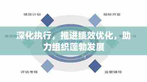 深化执行，推进绩效优化，助力组织蓬勃发展