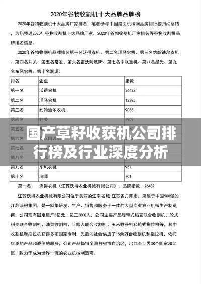 首鼠两端 第6页