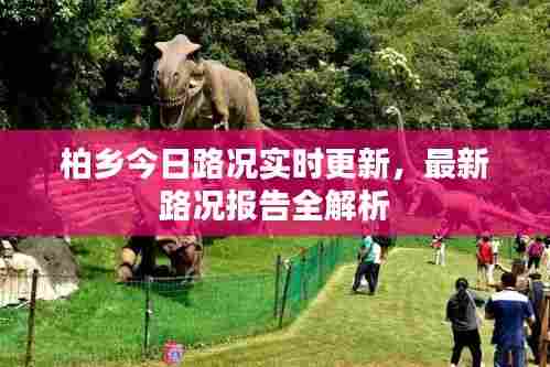 破马张飞 第6页