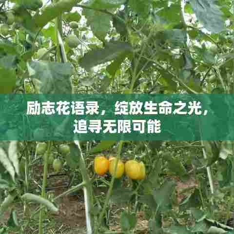 励志花语录，绽放生命之光，追寻无限可能