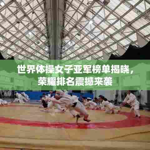 世界体操女子亚军榜单揭晓，荣耀排名震撼来袭