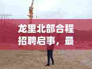 龙里北部合程招聘启事，最新职位空缺与动态速递