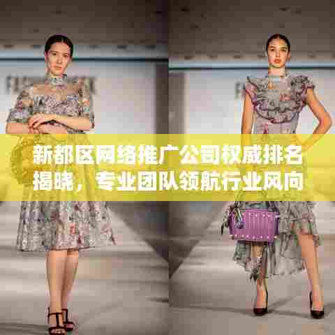 新都区网络推广公司权威排名揭晓，专业团队领航行业风向标