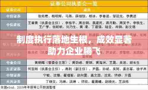 制度执行落地生根，成效显著助力企业腾飞