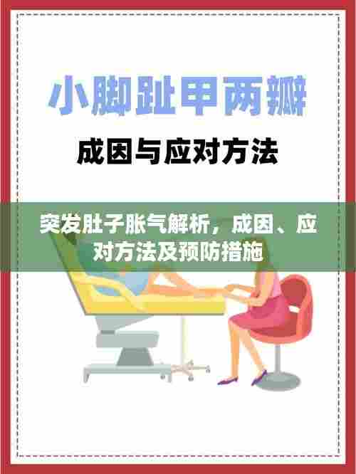 突发肚子胀气解析，成因、应对方法及预防措施