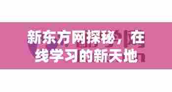 新东方网探秘，在线学习的新天地