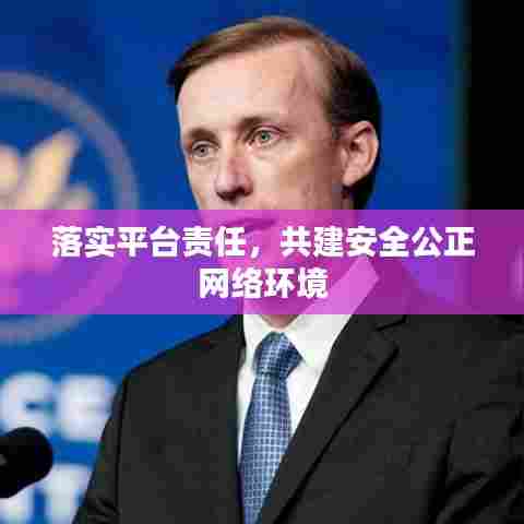 落实平台责任，共建安全公正网络环境