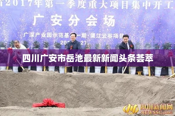 四川广安市岳池最新新闻头条荟萃