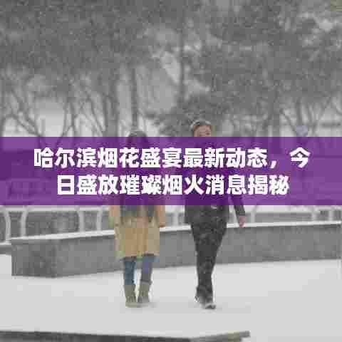 哈尔滨烟花盛宴最新动态，今日盛放璀璨烟火消息揭秘