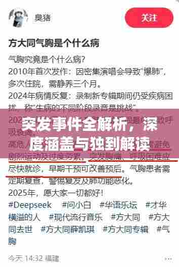 突发事件全解析，深度涵盖与独到解读