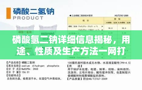 磷酸氢二钠详细信息揭秘，用途、性质及生产方法一网打尽！