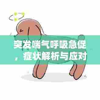 突发喘气呼吸急促，症状解析与应对攻略