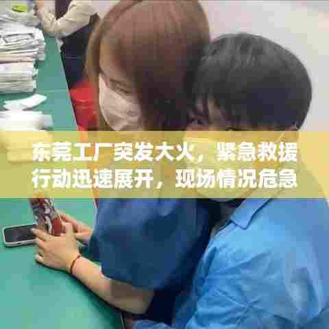 东莞工厂突发大火，紧急救援行动迅速展开，现场情况危急！
