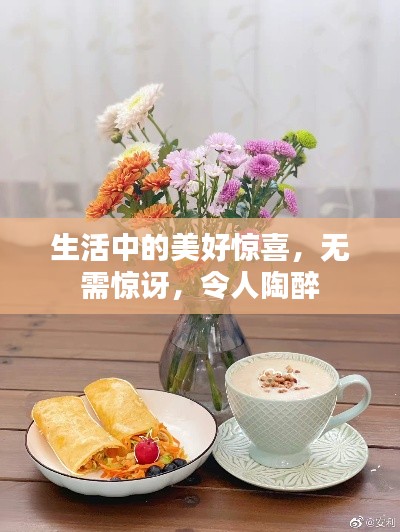 生活中的美好惊喜，无需惊讶，令人陶醉