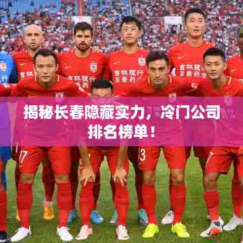 揭秘长春隐藏实力，冷门公司排名榜单！