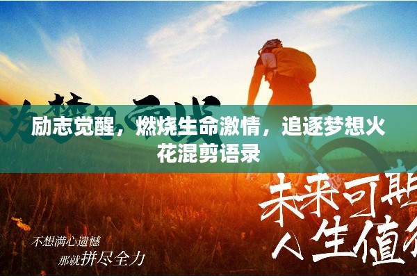 励志觉醒，燃烧生命激情，追逐梦想火花混剪语录