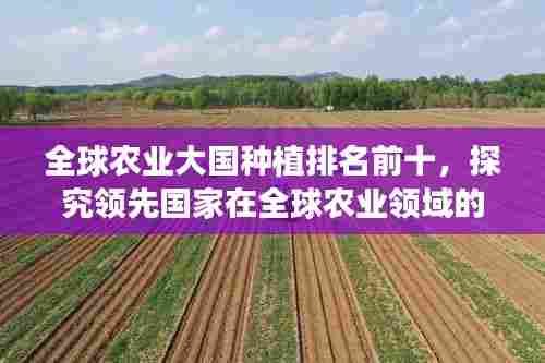 全球农业大国种植排名前十，探究领先国家在全球农业领域的先锋地位