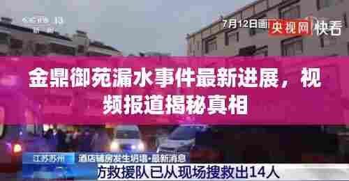 金鼎御苑漏水事件最新进展，视频报道揭秘真相