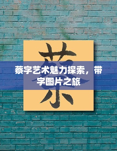 蔡字艺术魅力探索，带字图片之旅