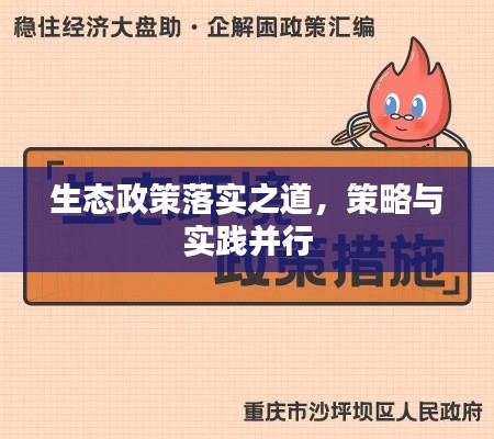 生态政策落实之道，策略与实践并行