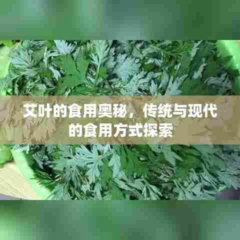 艾叶的食用奥秘，传统与现代的食用方式探索