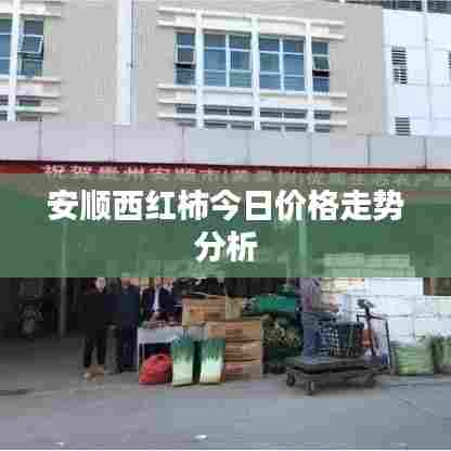 安顺西红柿今日价格走势分析