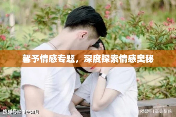 馨予情感专题，深度探索情感奥秘