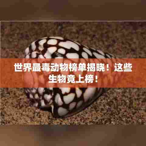 世界最毒动物榜单揭晓！这些生物竟上榜！