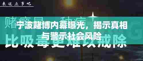 秀外慧中 第6页