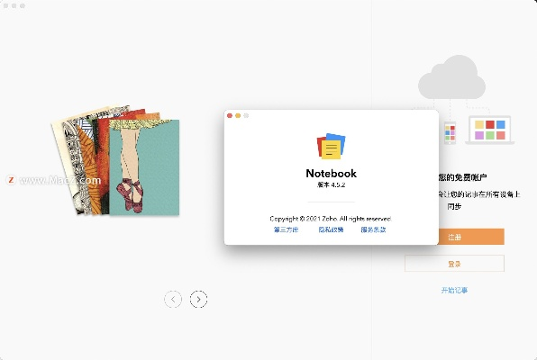 官方vip软件下载,最新动态解答方案_Notebook_v7.538