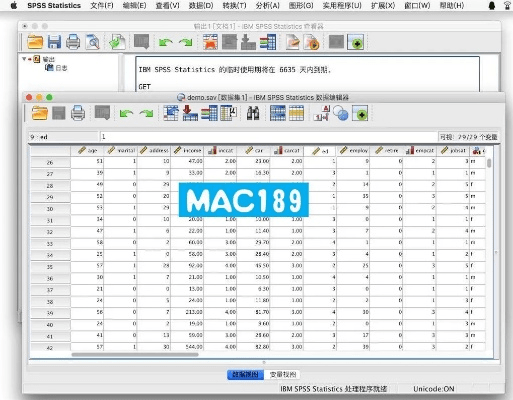 mac哪个版本好,精准分析实施-SP_v1.612