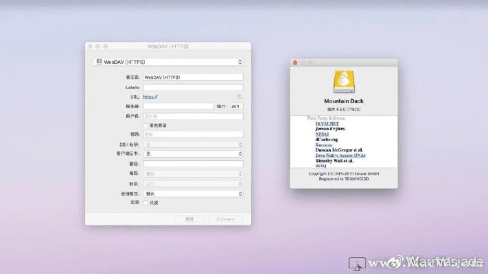 自作主张 第5页