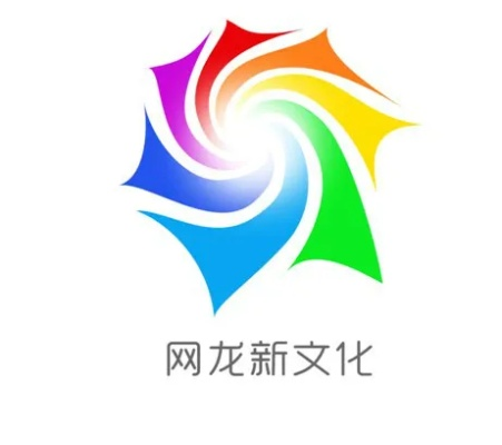 网龙官方下载,快速方案执行指南_粉丝款_v2.507