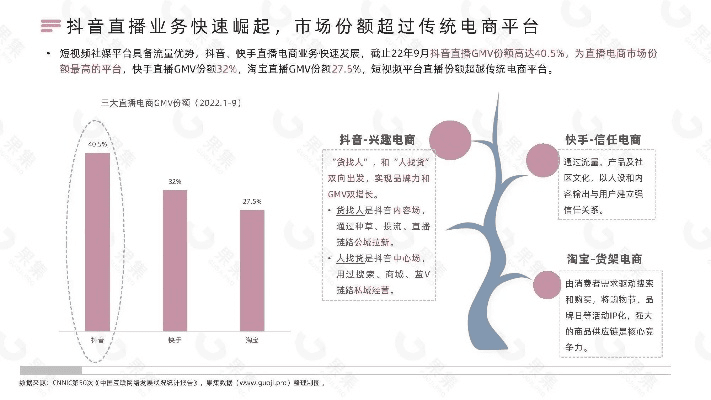螓首蛾眉 第5页