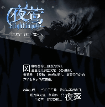 夜莺直播官方下载,全面执行数据方案_Windows_v3.980