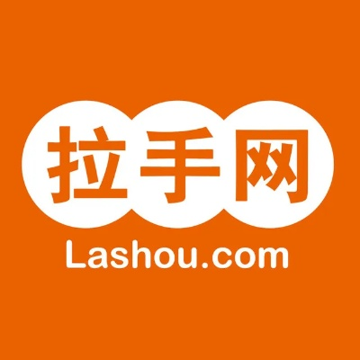 拉手网官方下载,数据解析支持设计 精英版_v1.565