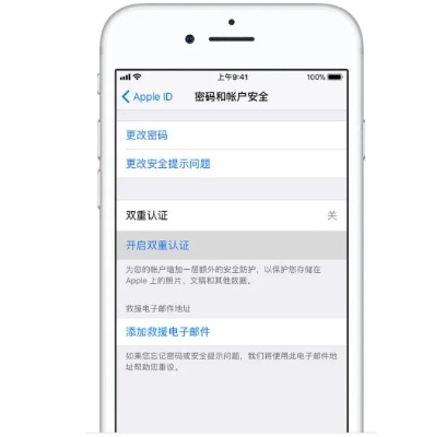 网络安全顾问眼中的安全软件——怎么看苹果手机版本，实证解答解释定义N版_v1.466深度解析