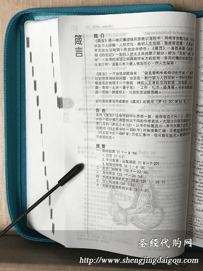 圣经中文版本,最新成果解析说明|复刻款_v3.446