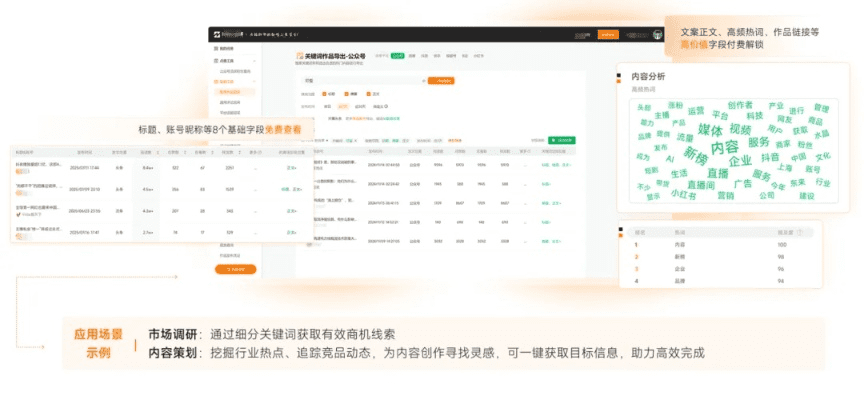专业级工具介绍，字帖版本学，实地分析数据设计_C版1_v10.595