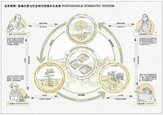 介绍绿色循环圈项目及其尊贵款v6.322版本，生态与数据整合计划解析