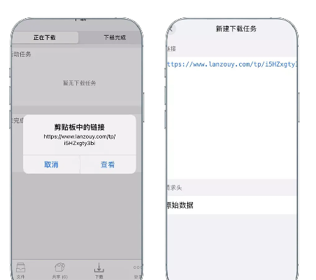 系统工具软件ios安装旧版本，专家解读说明_动态版_v2.850，全面解析其优势与应用