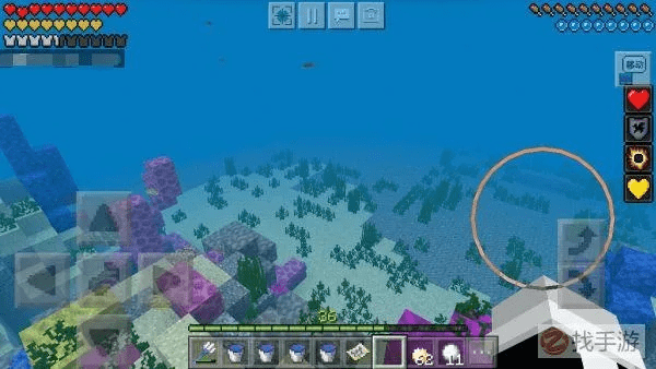 富贵有余 第5页