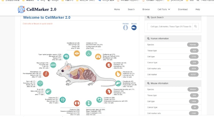 cellmap官方下载,数据整合执行设计_手游版_v9.356