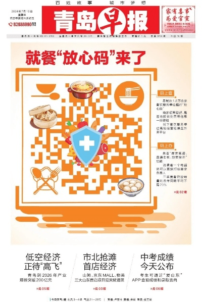 青岛早报官方下载,数据支持方案设计-探索版_v5.510