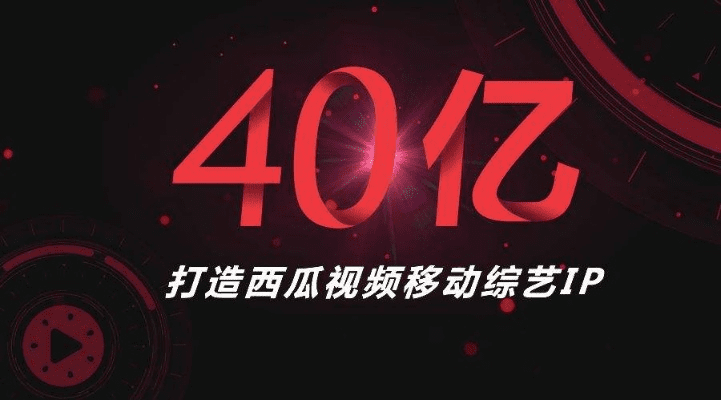 西瓜视官方下载,高效计划分析实施_粉丝版_v9.819