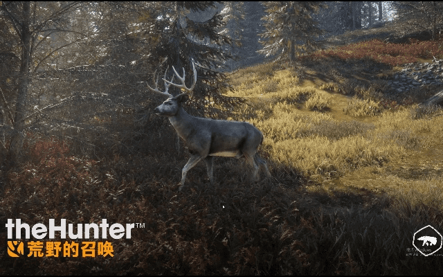 thehunter官方下载,权威分析解释定义|R版_v8.784