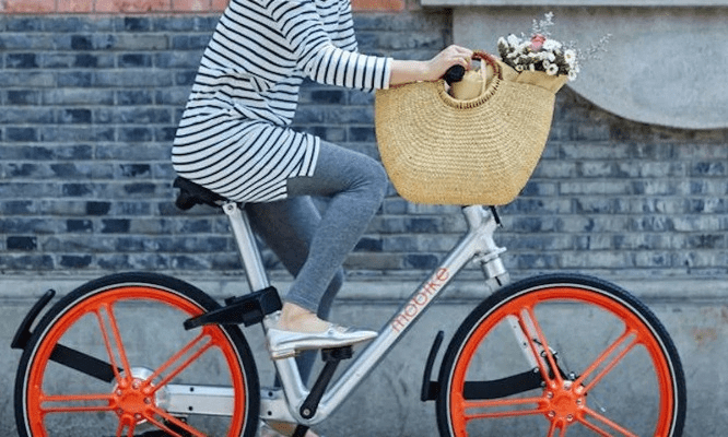 摩拜单车官方下载安装和音乐壳 激活码,预测解答解释定义_领航款_v9.857